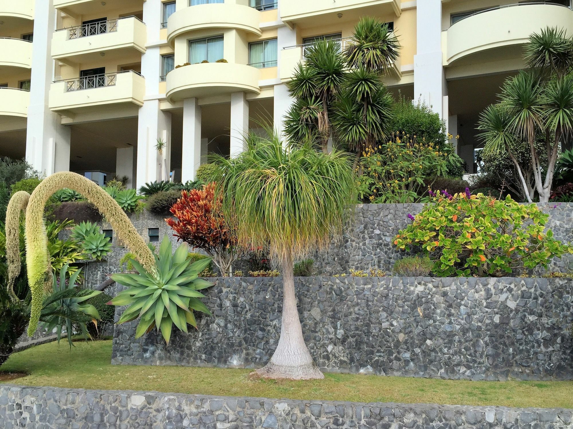 Finest Rentals - Beachfront Penthouse Funchal  Exterior photo
